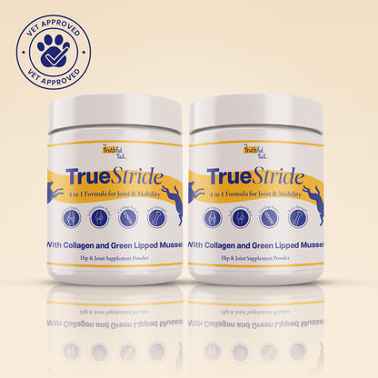 Hip & Joint Supplement For Dogs 2 x 200g Packs (400g)