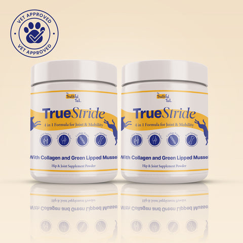 Hip & Joint Supplement For Dogs 2 x 200g Packs (400g)