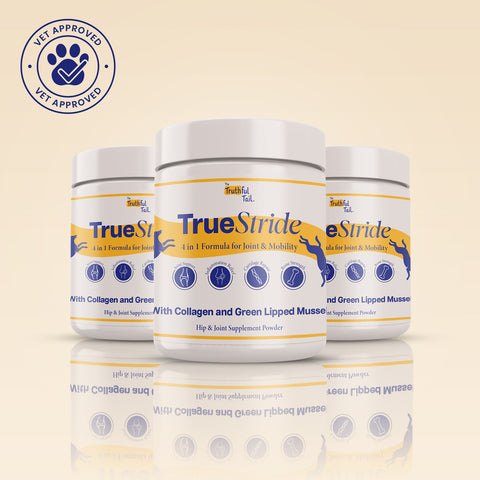 Hip & Joint Supplement For Dogs 3 x 200g Packs (600g)