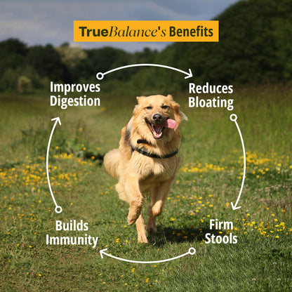 Gut Health Supplement For Dogs 3X150g Packs (450g)