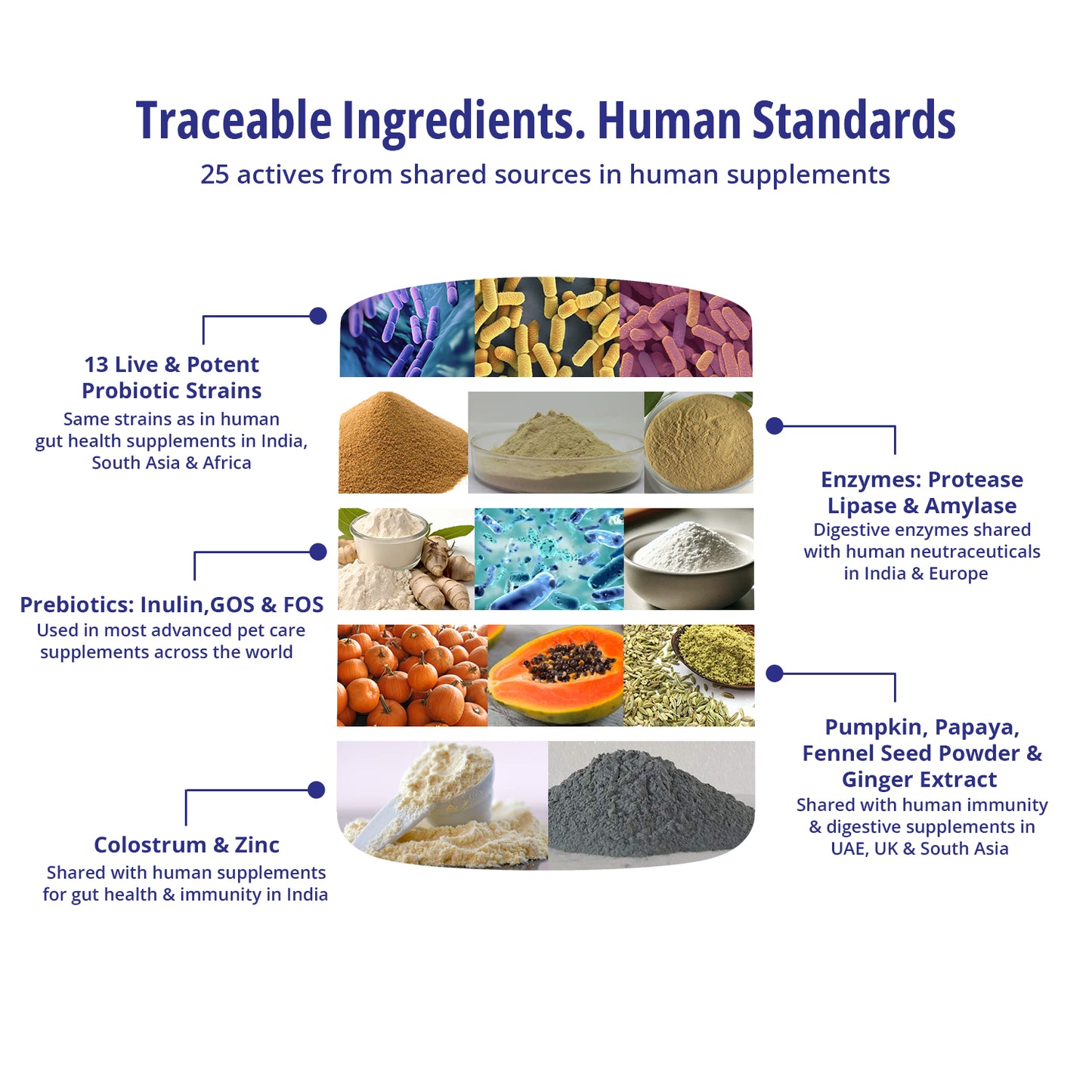 Gut Health Supplement For Dogs 3X150g Packs (450g)