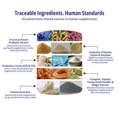 Gut Health Supplement For Dogs 3X150g Packs (450g)