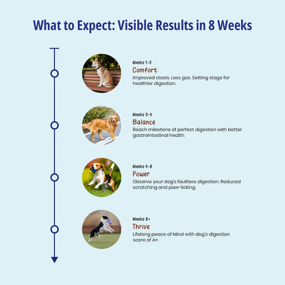 Gut Health Supplement For Dogs 3X150g Packs (450g)