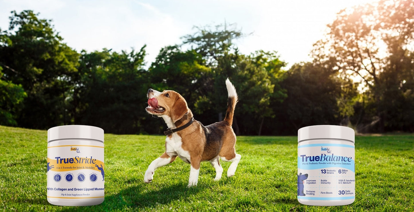 Gut Health Supplement For Dogs 2X150g Packs (300g)